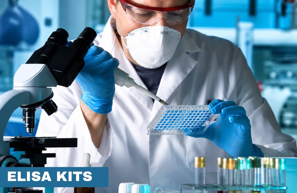 OEM Kit Manufacturing & Bulk Reagents